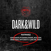 ڹCD(K-POP)ƾǯ(BTS) 1 - Dark & Wildײ