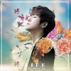 ڹCD(K-POP)֥ɥ (JUNG DONG HA) - LIFEײ