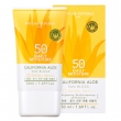 ͥ㡼ѥ֥å(Nature Republic) ڹ񥳥 nature republic ͥ㡼ѥ֥å ե˥  ǡ꡼⥤㡼֥å (SPF50 PA+++) 50ml ײ