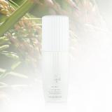 ͥ㡼ѥ֥å(Nature Republic) ͥ㡼ѥ֥åۥ磻ȯڡå󥹡40ml ײ