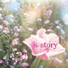 ڹCD(K-POP) ץ󥵥֥ / The Story ײ