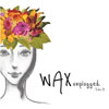 ֥å(Wax) - Unplugged Side B